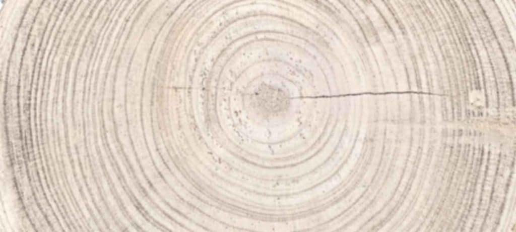 JUISTIG – Der Juist Onlineshop